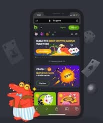 Todo lo que necesitas saber sobre BC.Game Casino Todo lo que necesitas saber sobre BC.Game Casino