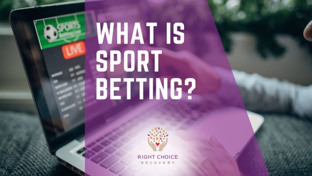 Top Online Gambling Sites With Daily Promotions Top Online Gambling Sites With Daily Promotions
